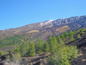 Etna paesaggio vegetale d'alta quota