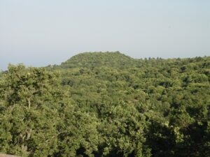 Lecceta sull'Etna